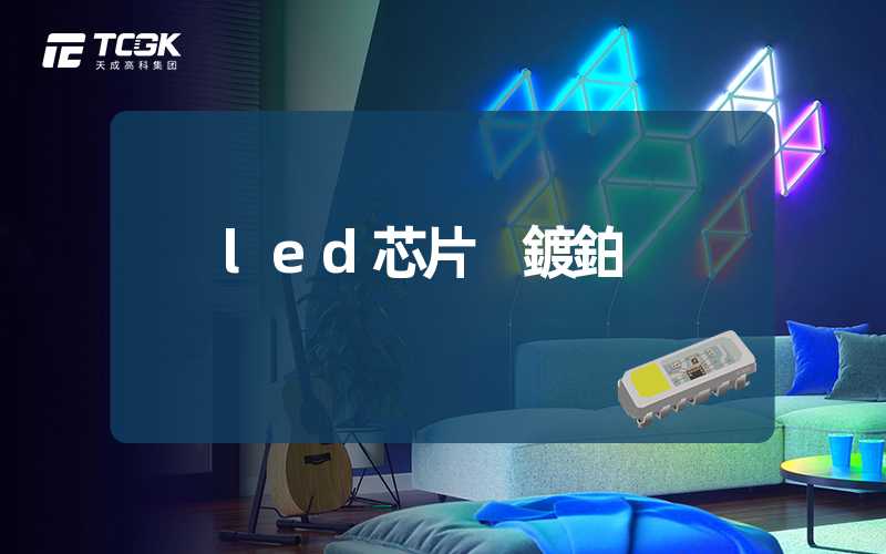 led芯片 鍍鉑